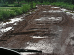 a streach of the southen Highway, one of the two best roads in The Gambia.